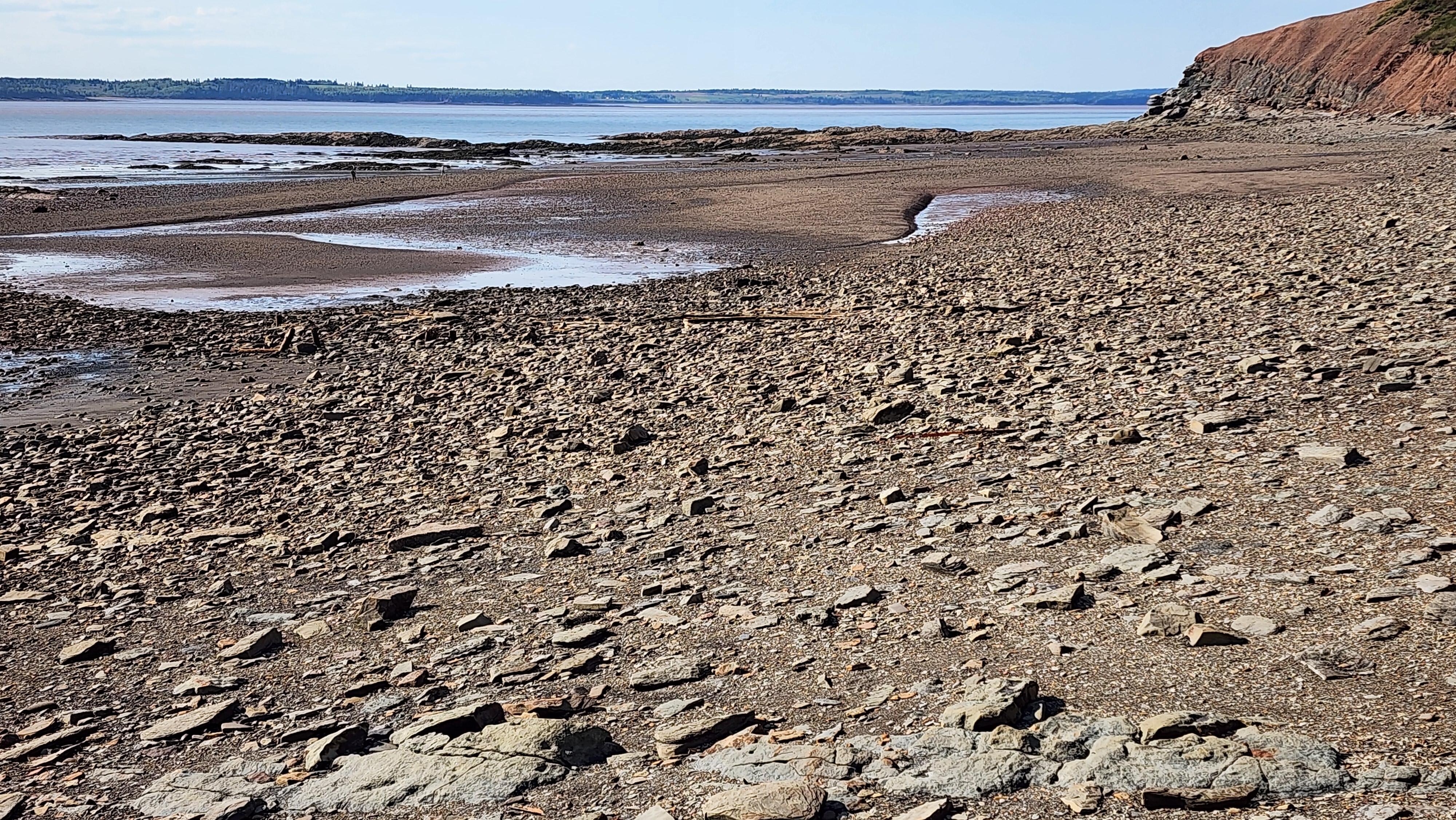 Joggins beach walk when tide is lower. Excellent for views, rock and fossil exploration. Guided tours available at the museum.