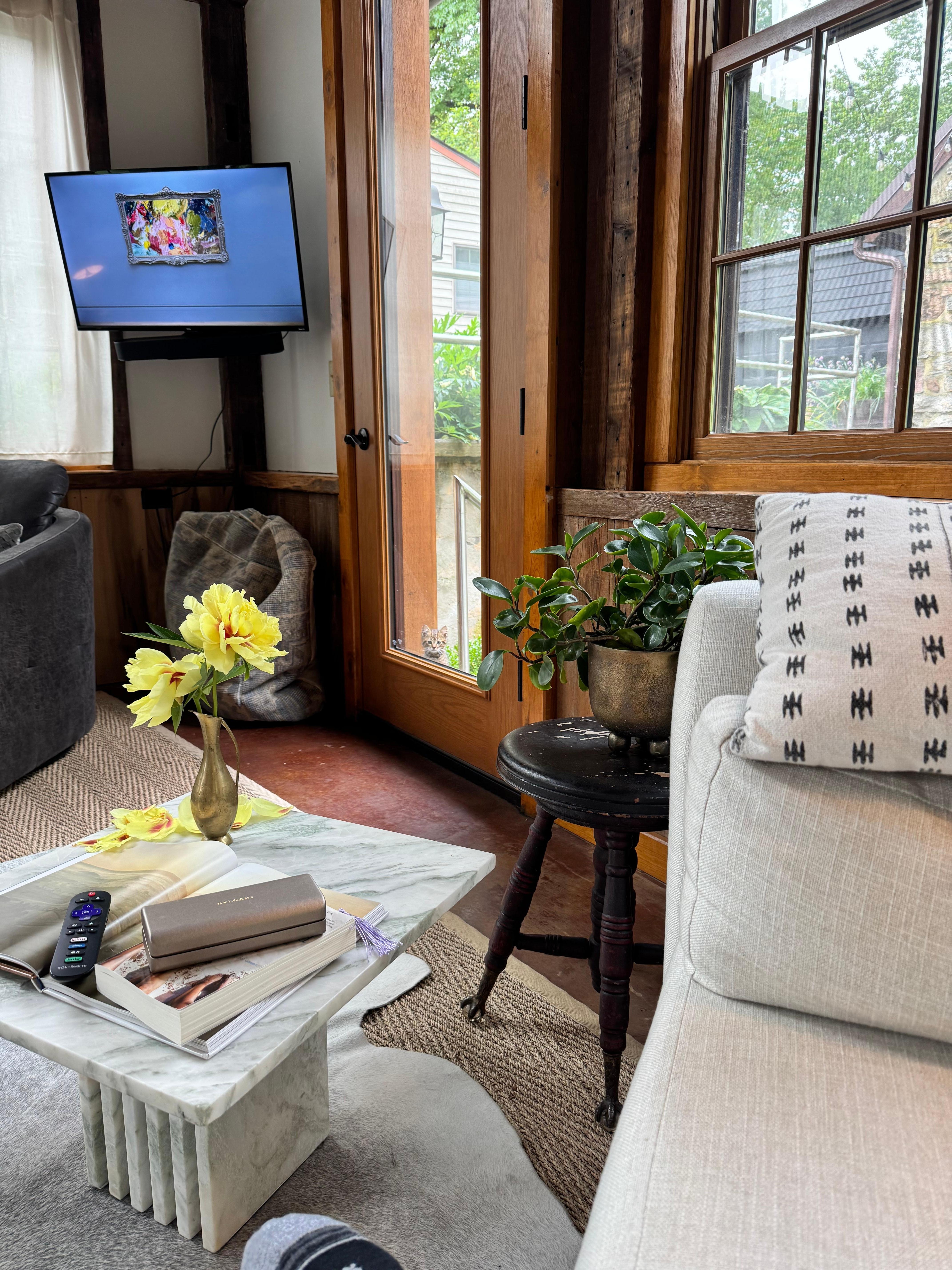 Little stray kittens we helped rescue.