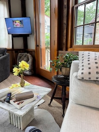 Little stray kittens we helped rescue.