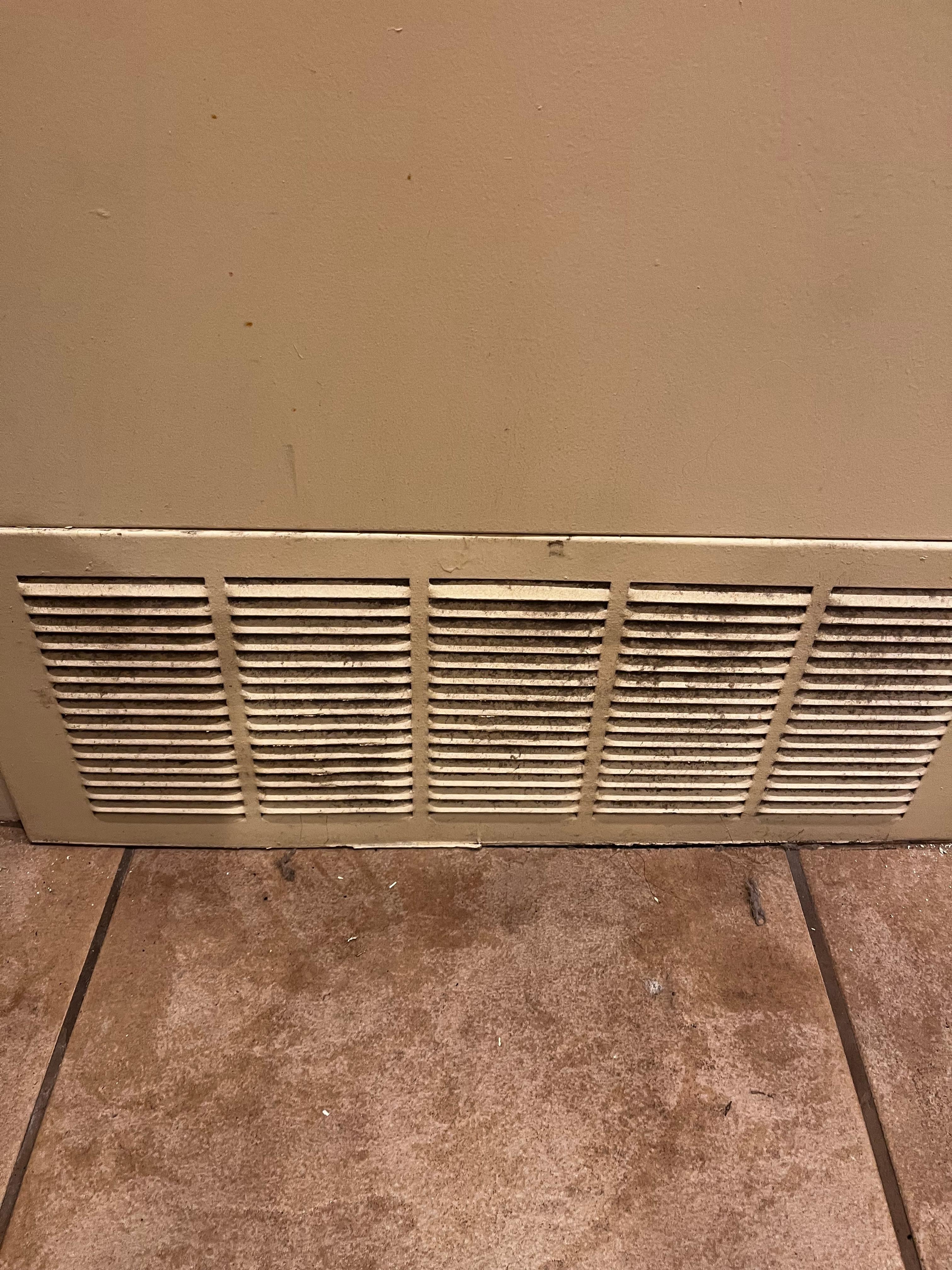 Seriously how can you not see that this is so full of dust! 