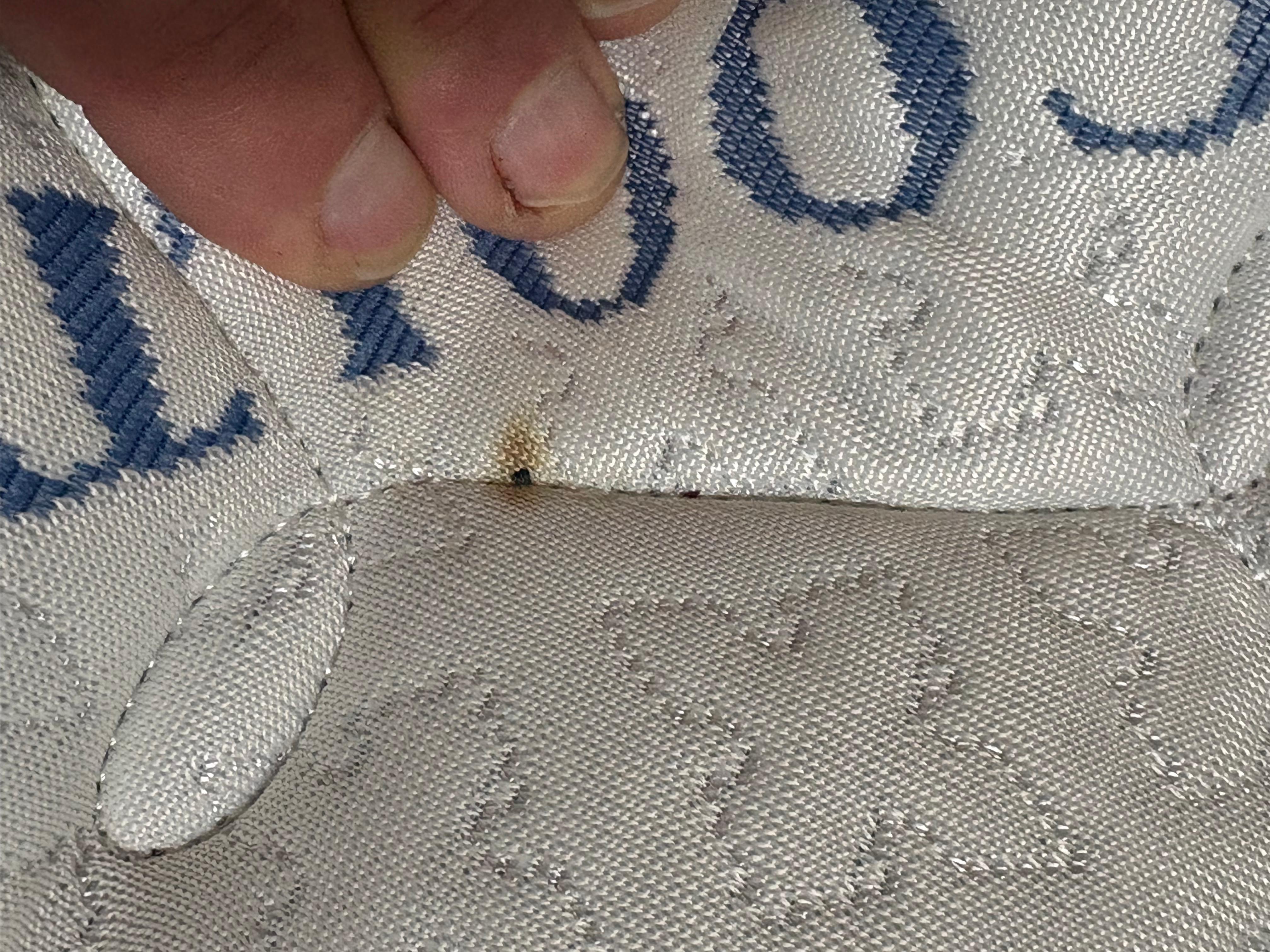 Potential past bed bug blood stains on matress.