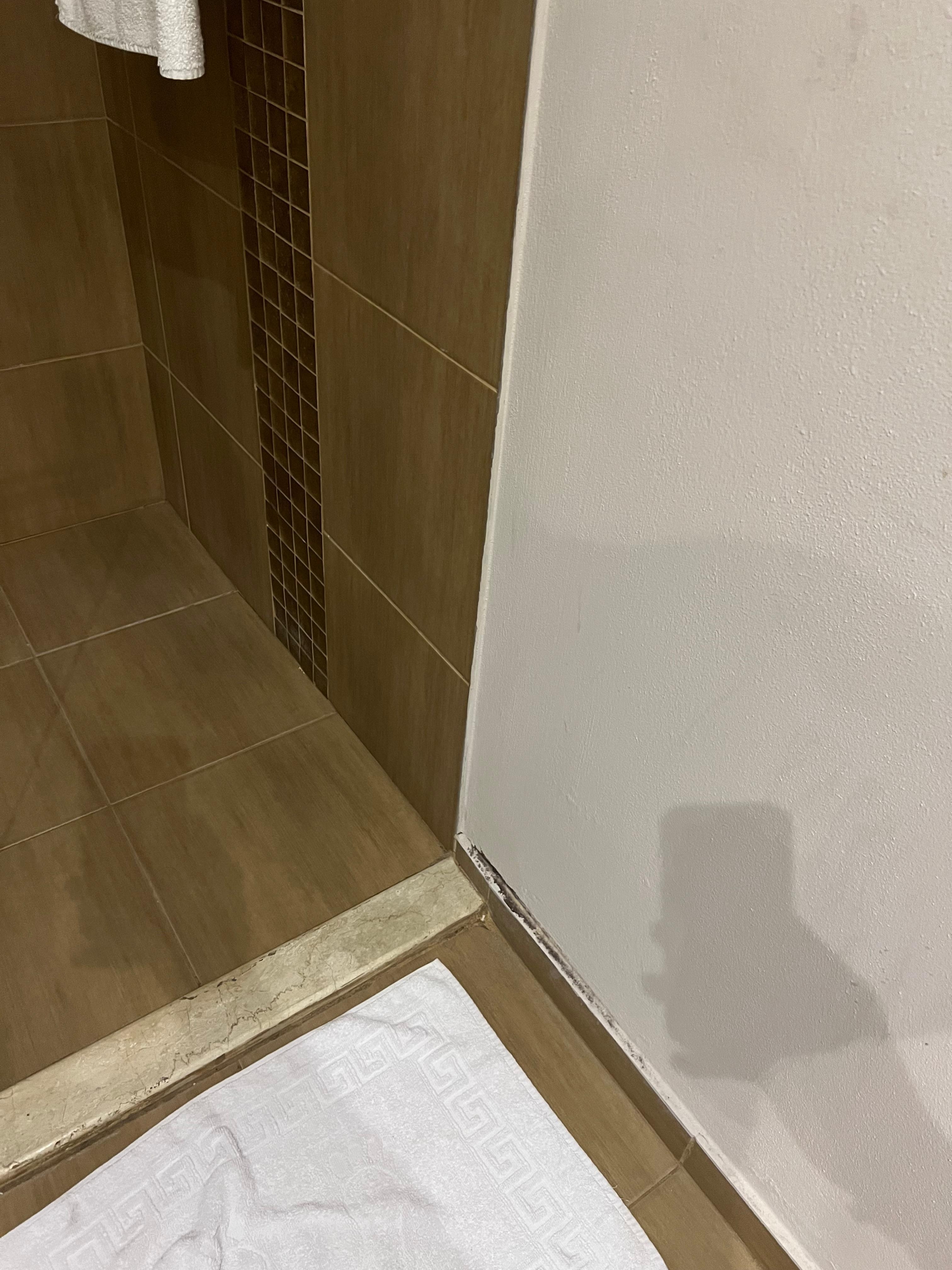 Black mold along floor of shower