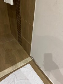 Black mold along floor of shower