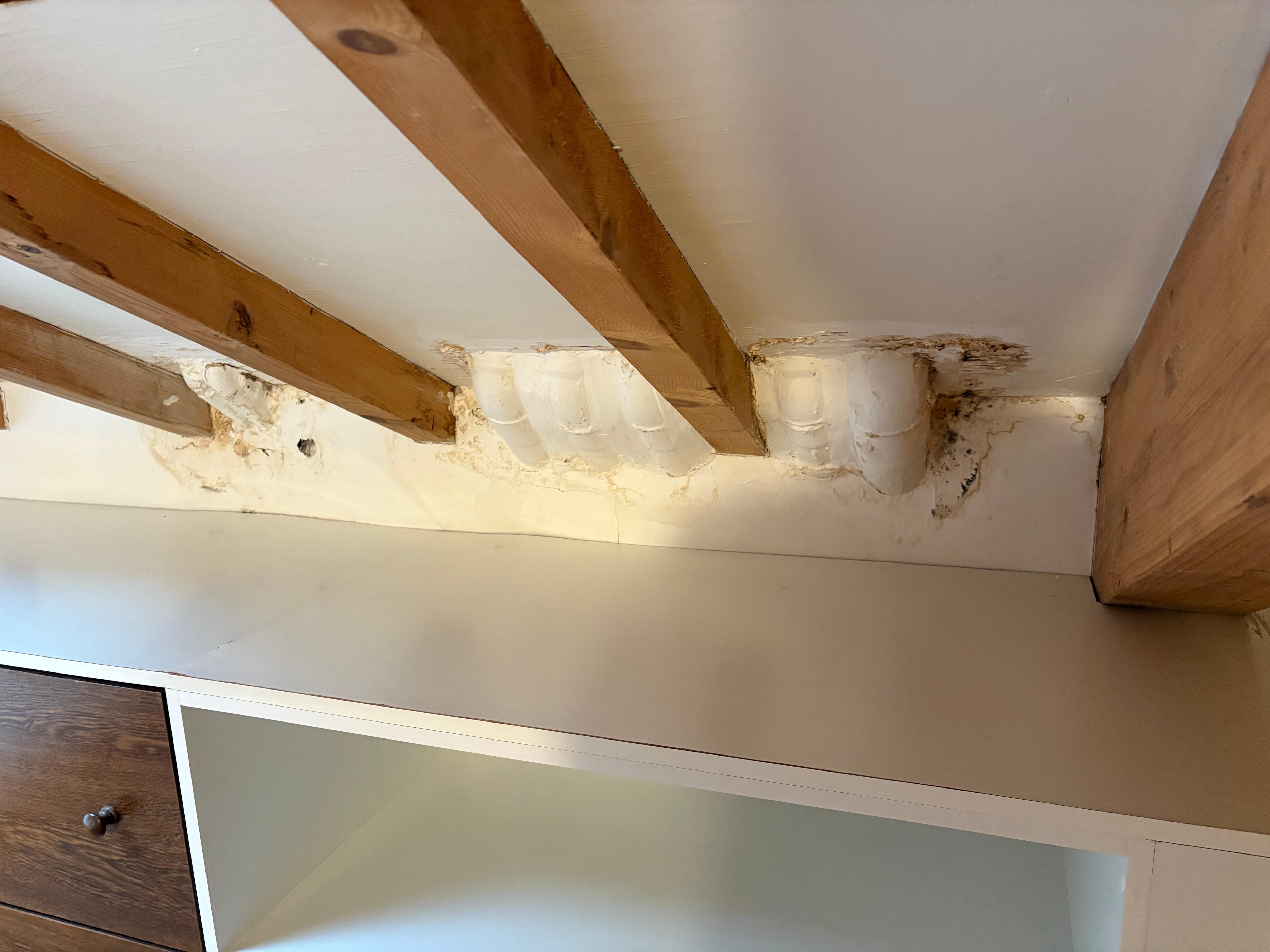 leaks in roof with mold in ceiling