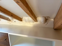 leaks in roof with mold in ceiling