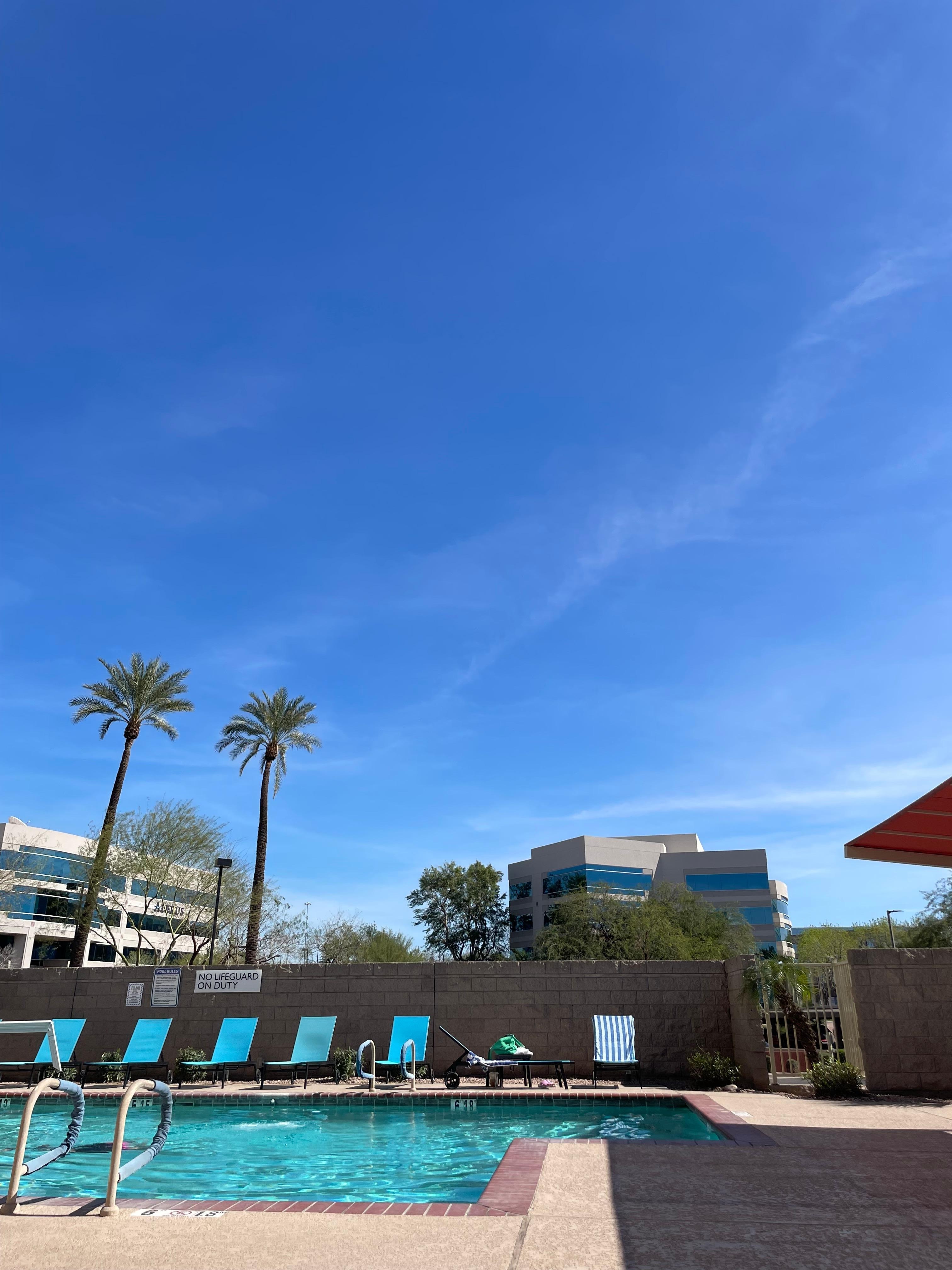 Beautiful warm day in February. 