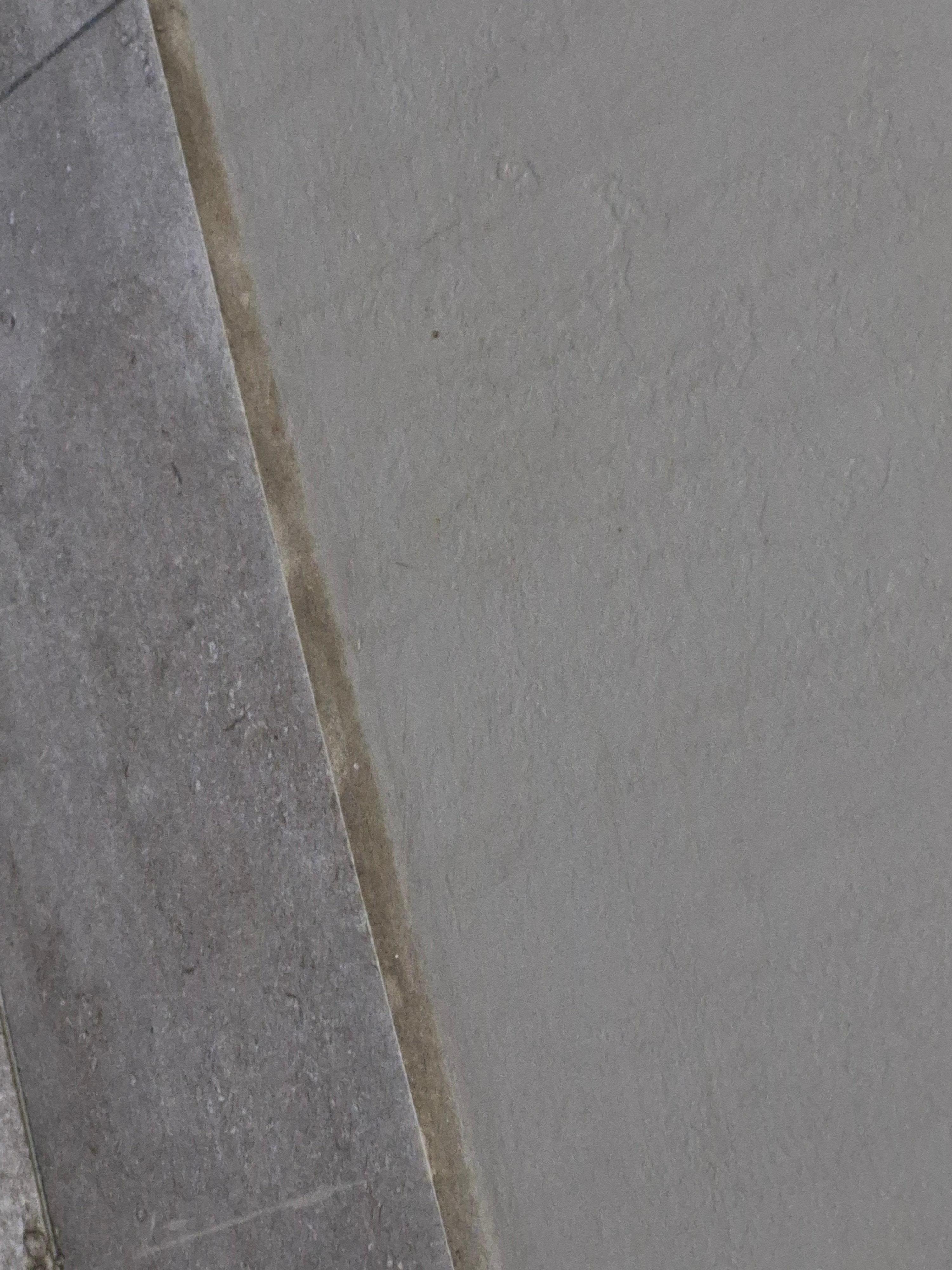 Les traîne de salle de bain avaient épais de poussière dessus comme si elle n avaient jamais été nettoyé