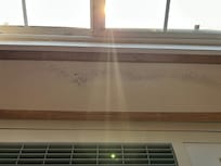 Mold