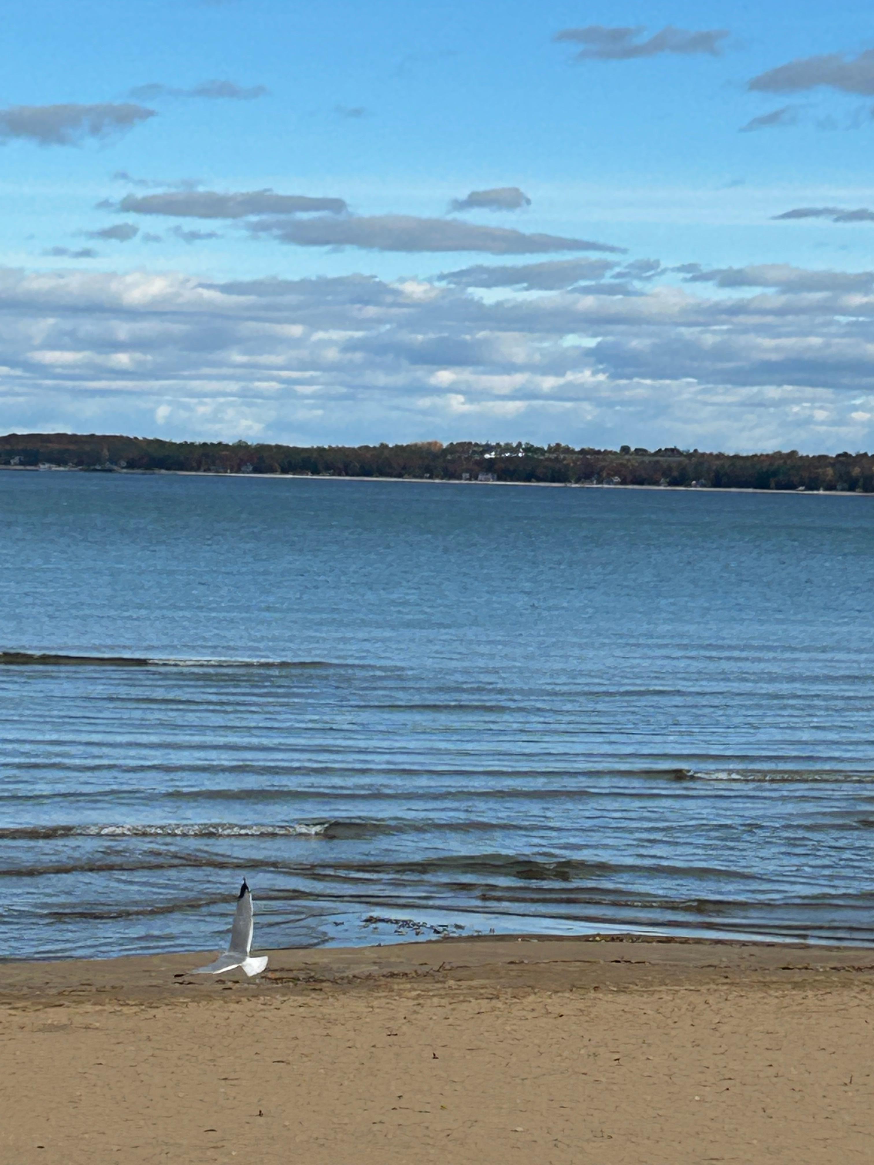 Photo from outside our room.  