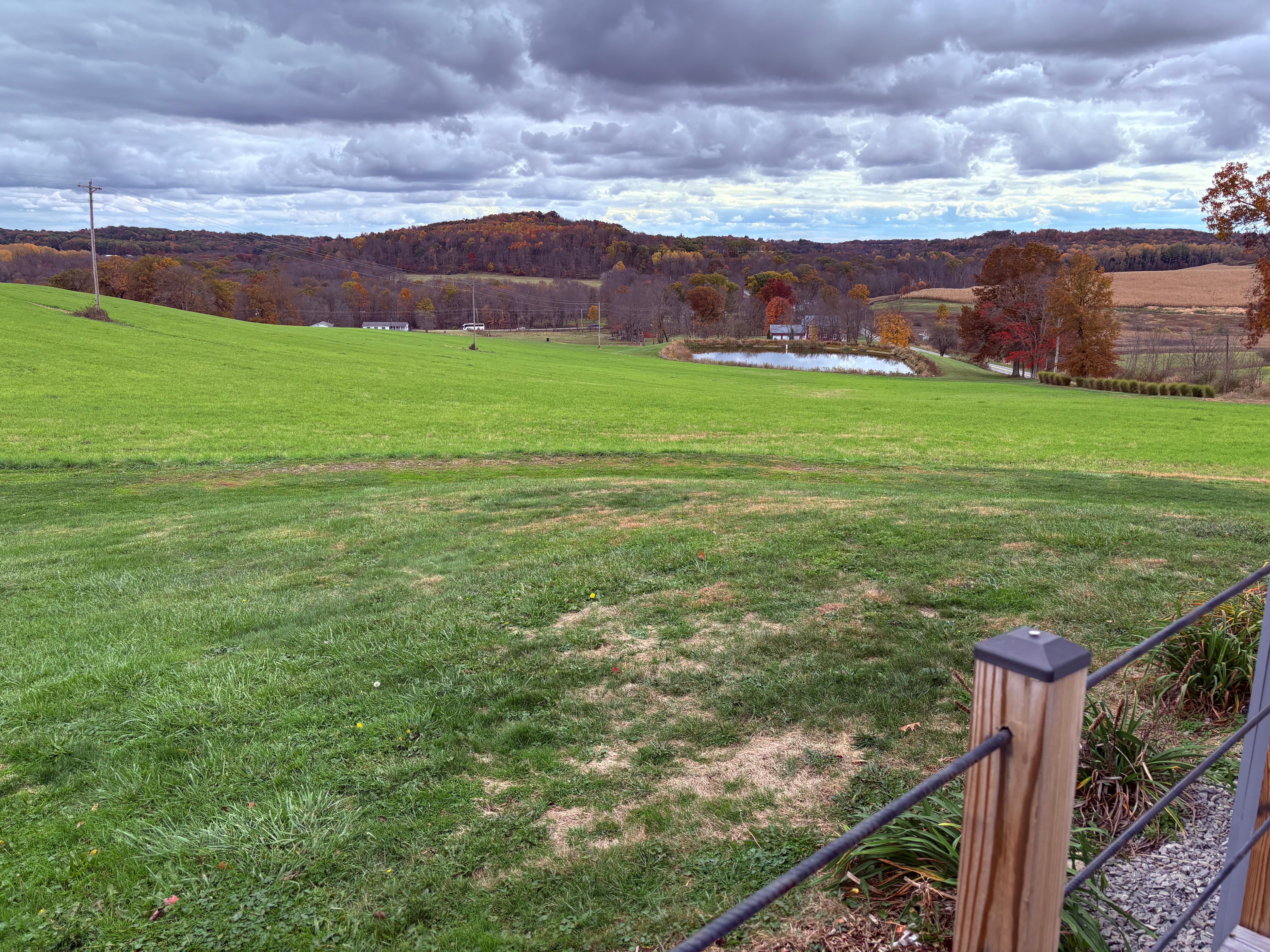 Across the field from the deck 