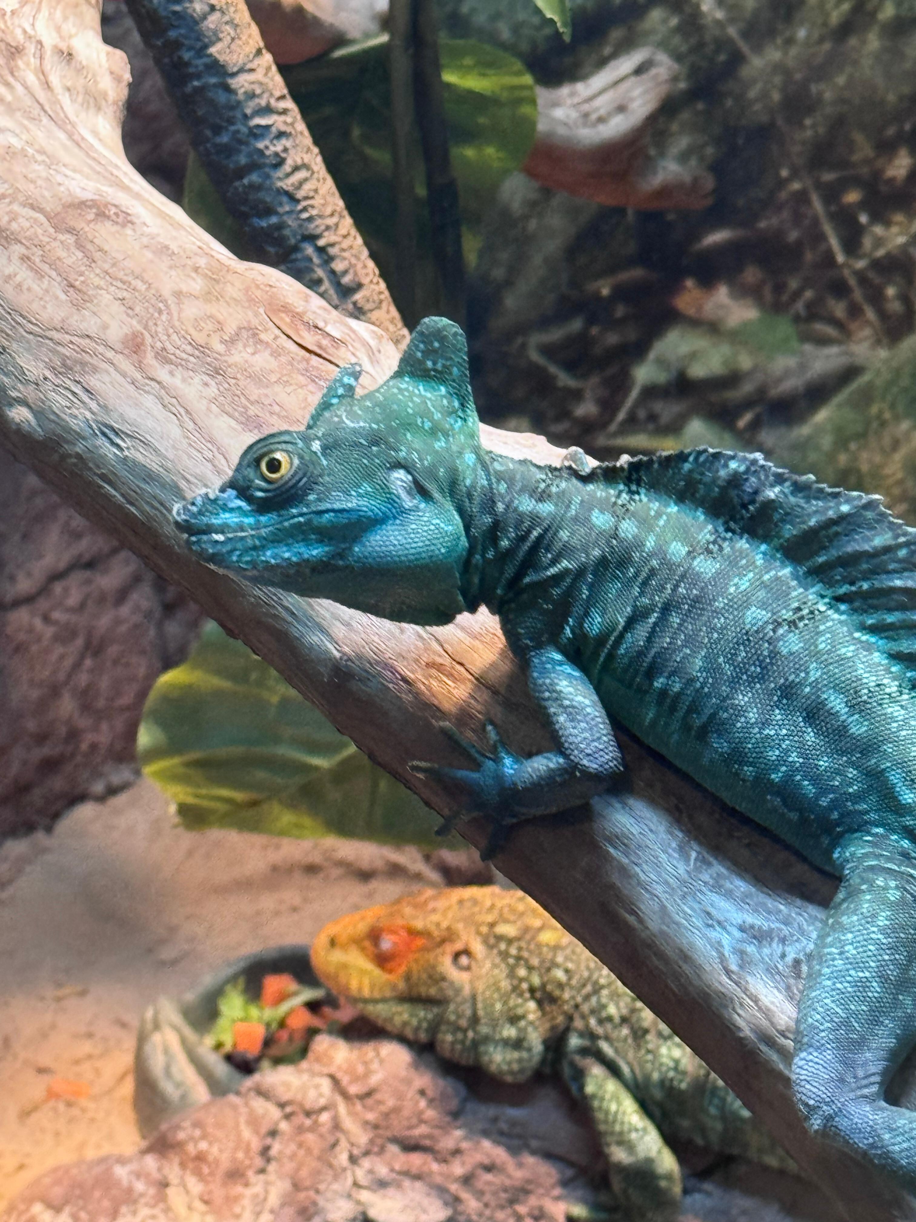 Newport Aquarium Saturday afternoon 