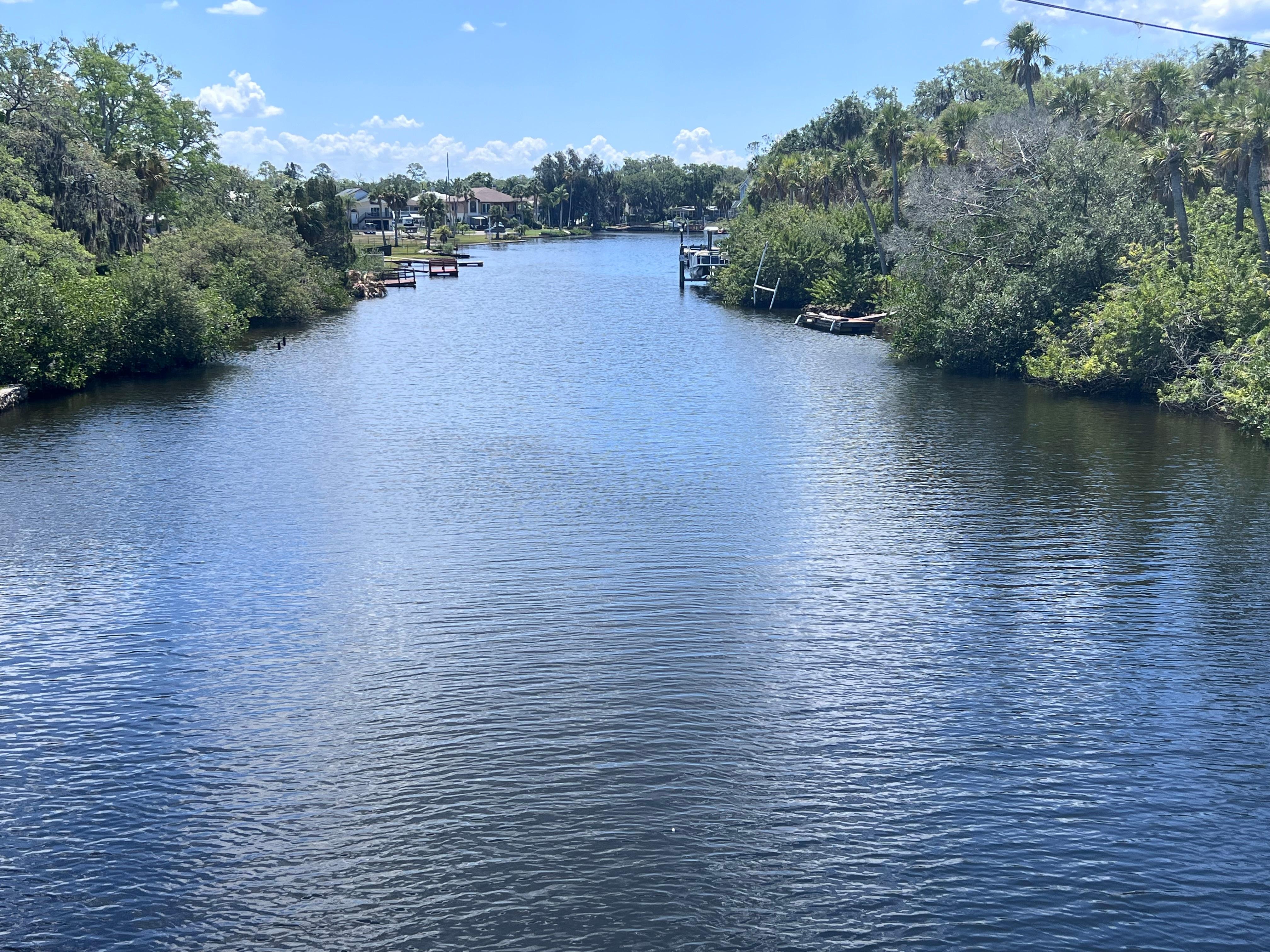 View of the river from the floating dock.