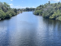 View of the river from the floating dock.