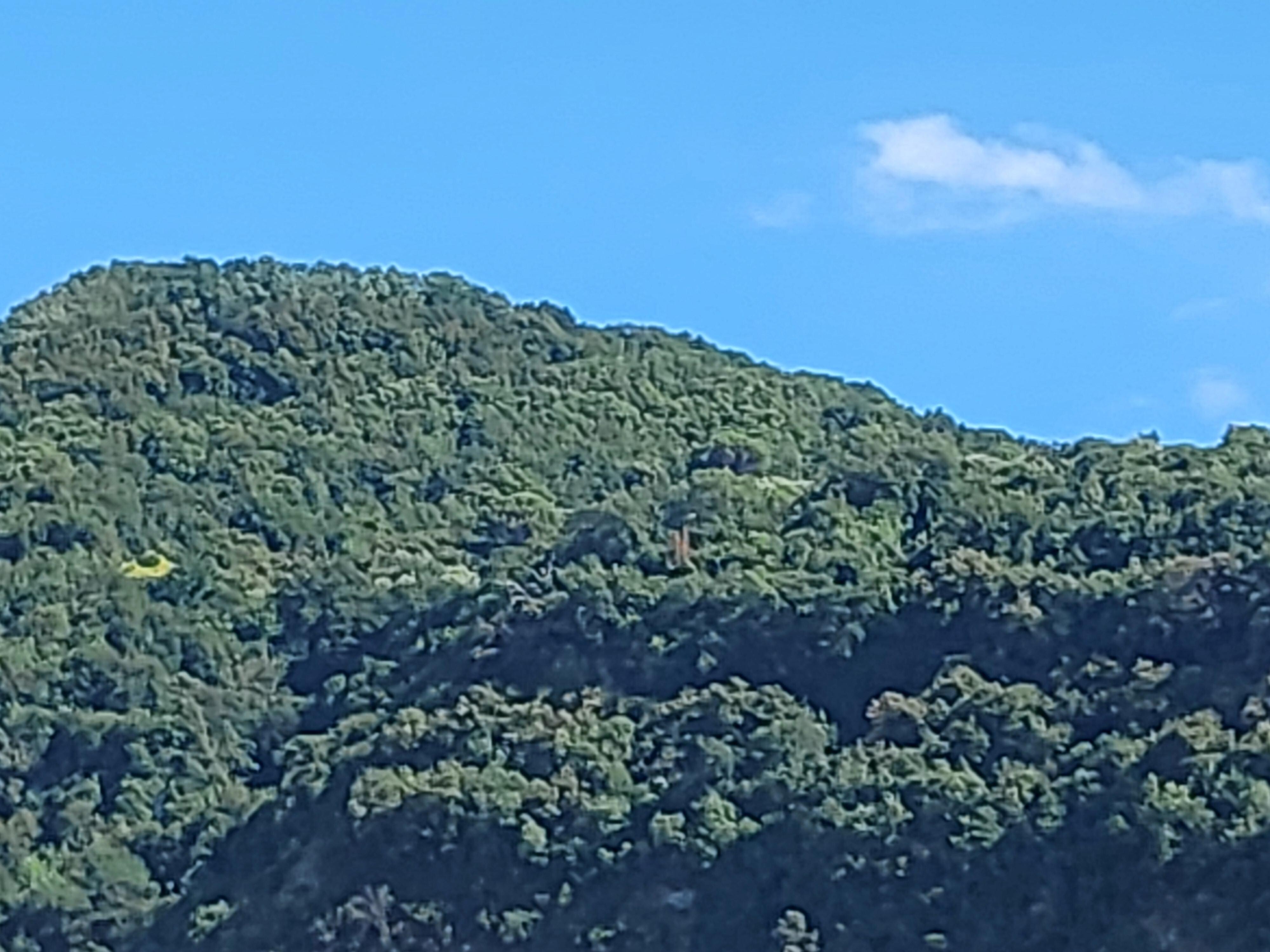 View from balcony 