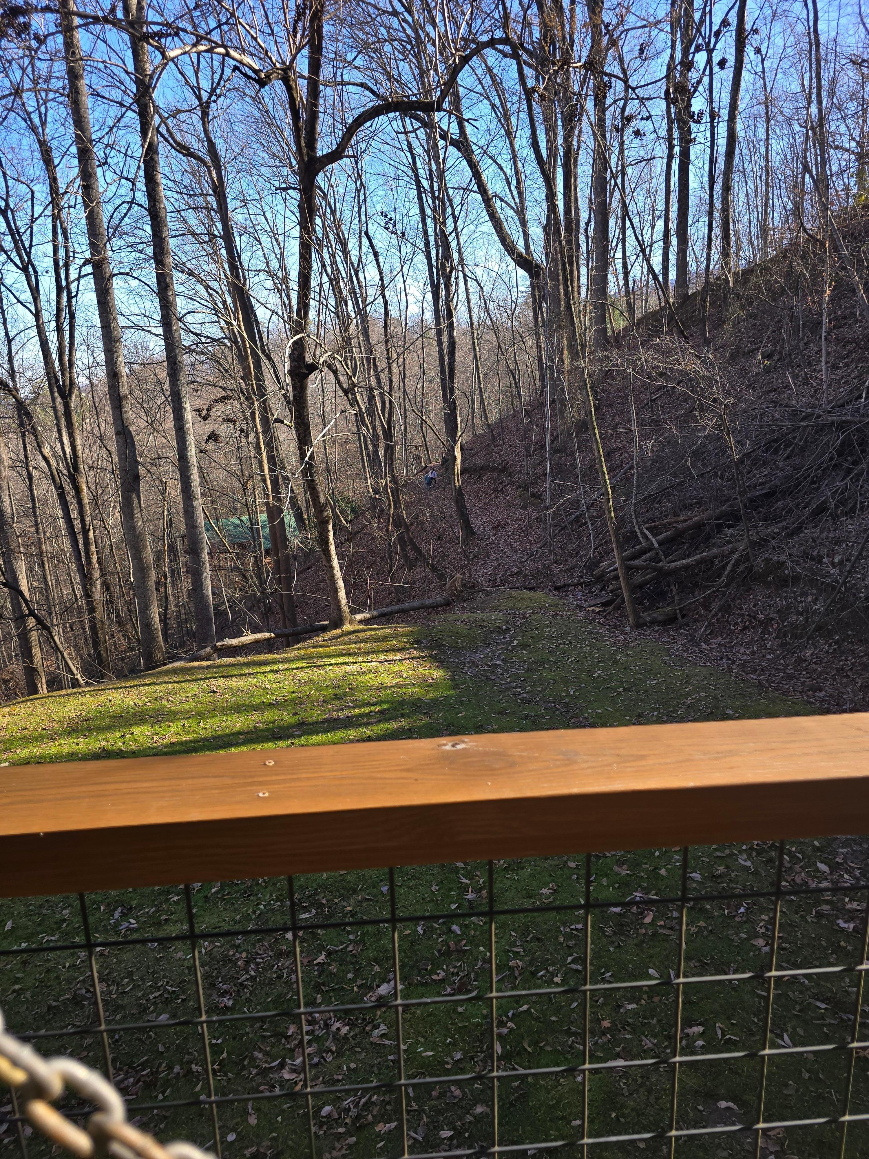 Sitting on the porch swing while the kiddos went for a small hike! Gatlingburg lights were a great view at night!!