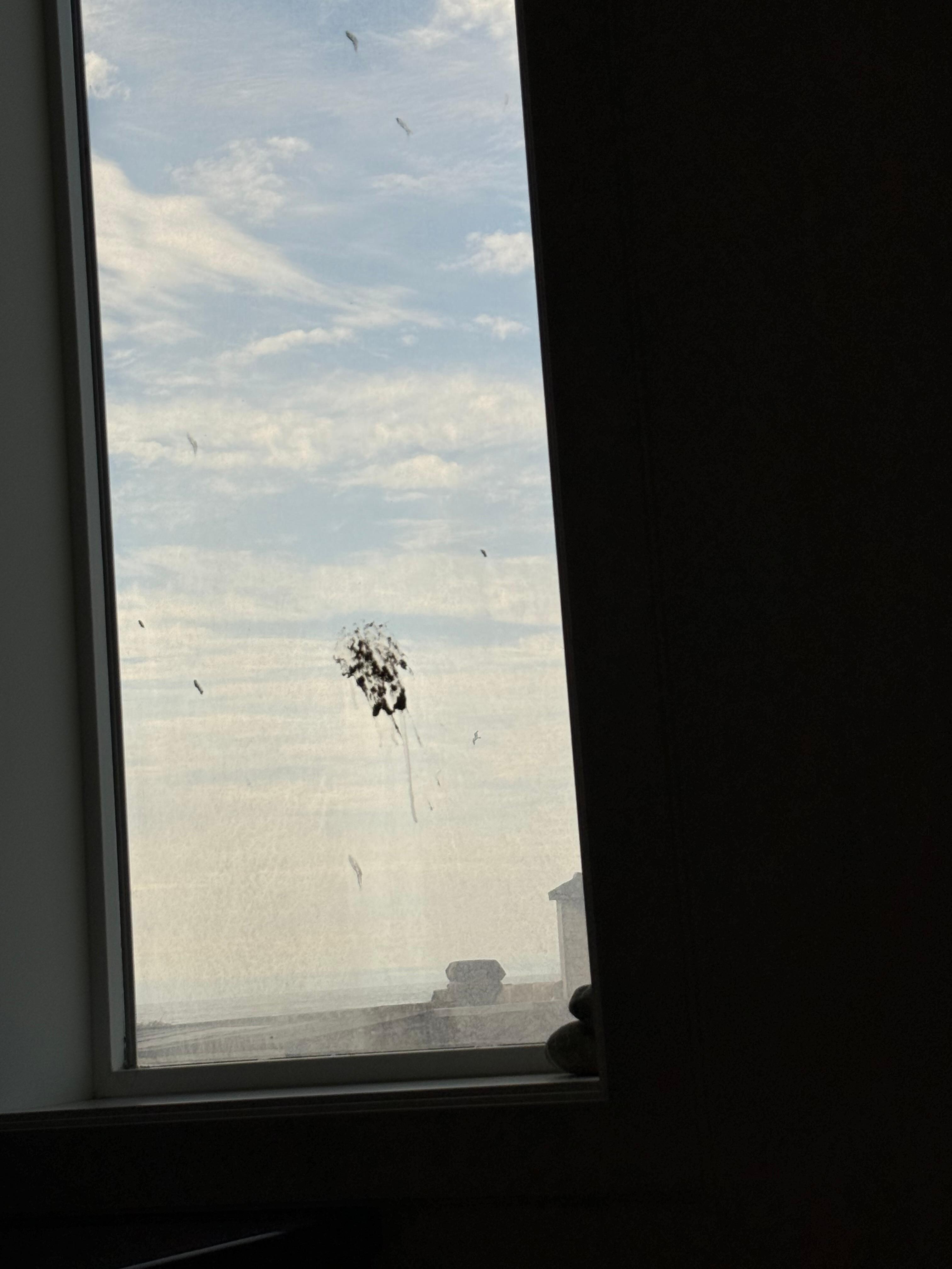 Example of dirty window