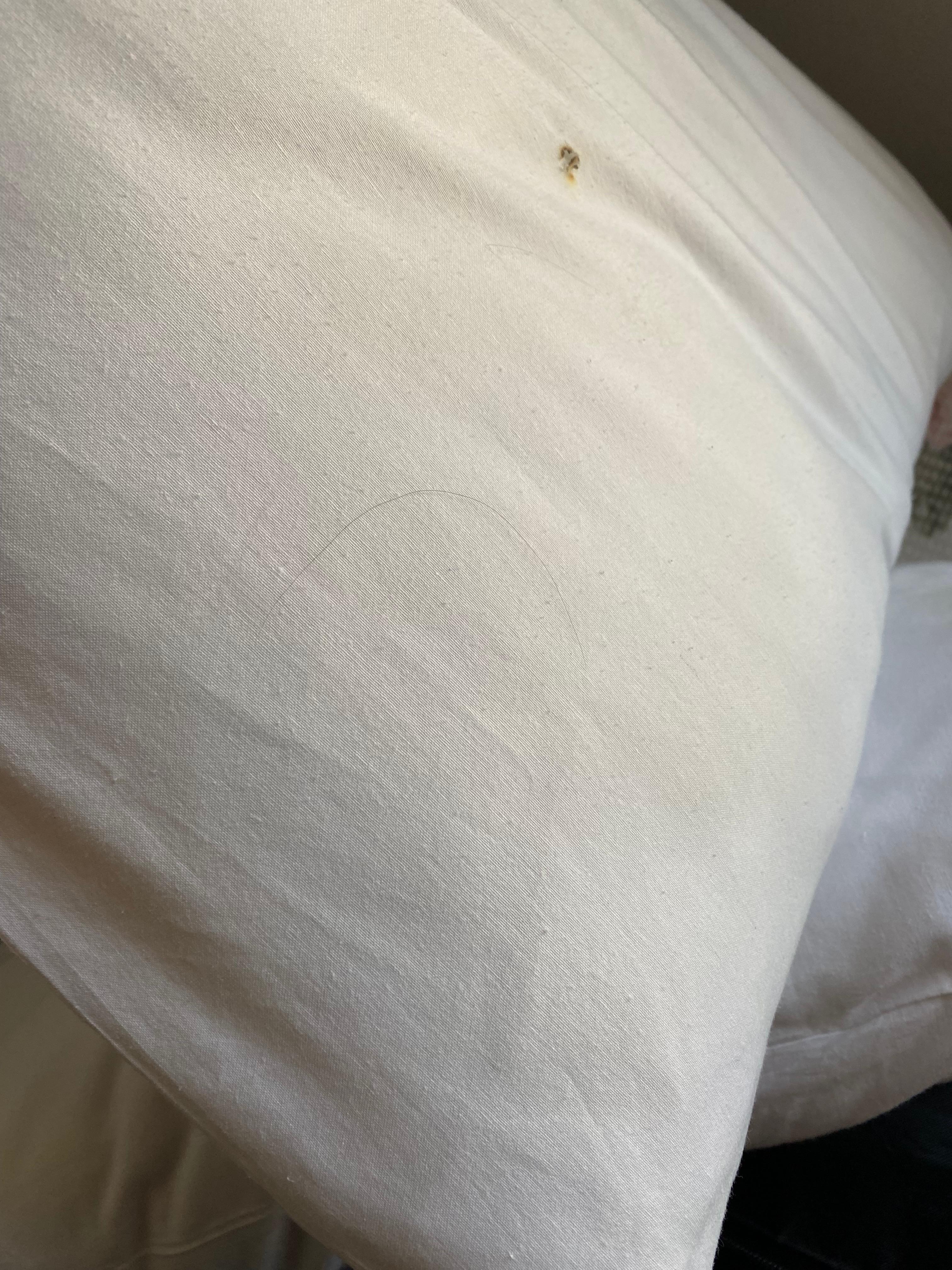 Değişmemiş yastık kılıfı, başka insanlara ait saç telleri.