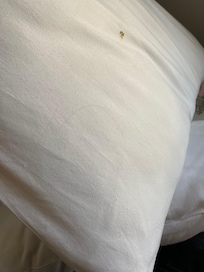 Değişmemiş yastık kılıfı, başka insanlara ait saç telleri.