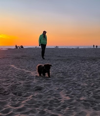 Der Sonnenuntergang ist ein Traum