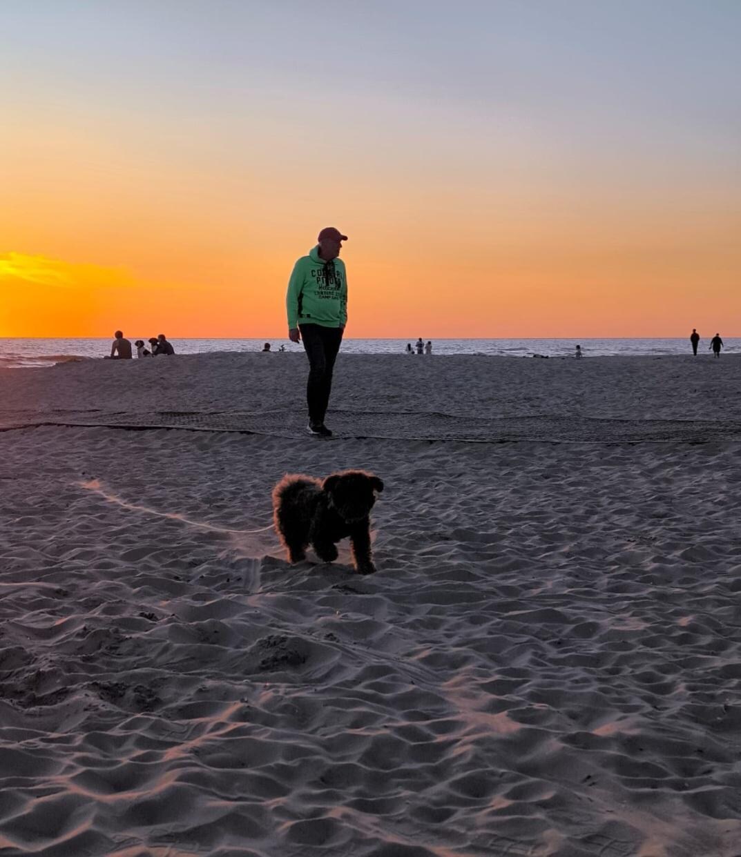 Der Sonnenuntergang ist ein Traum 