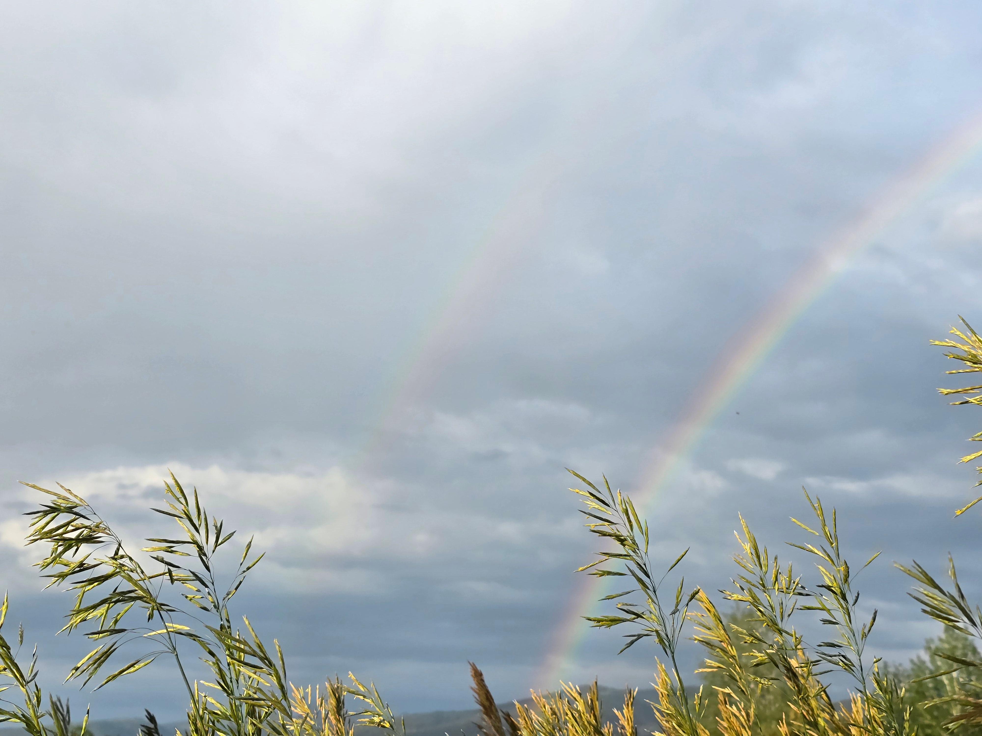 Double rainbow from the backyard