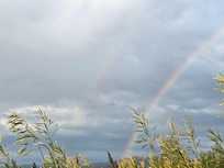 Double rainbow from the backyard