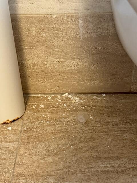 Crumbling wall by toilet