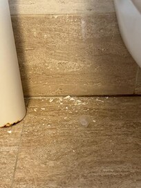 Crumbling wall by toilet