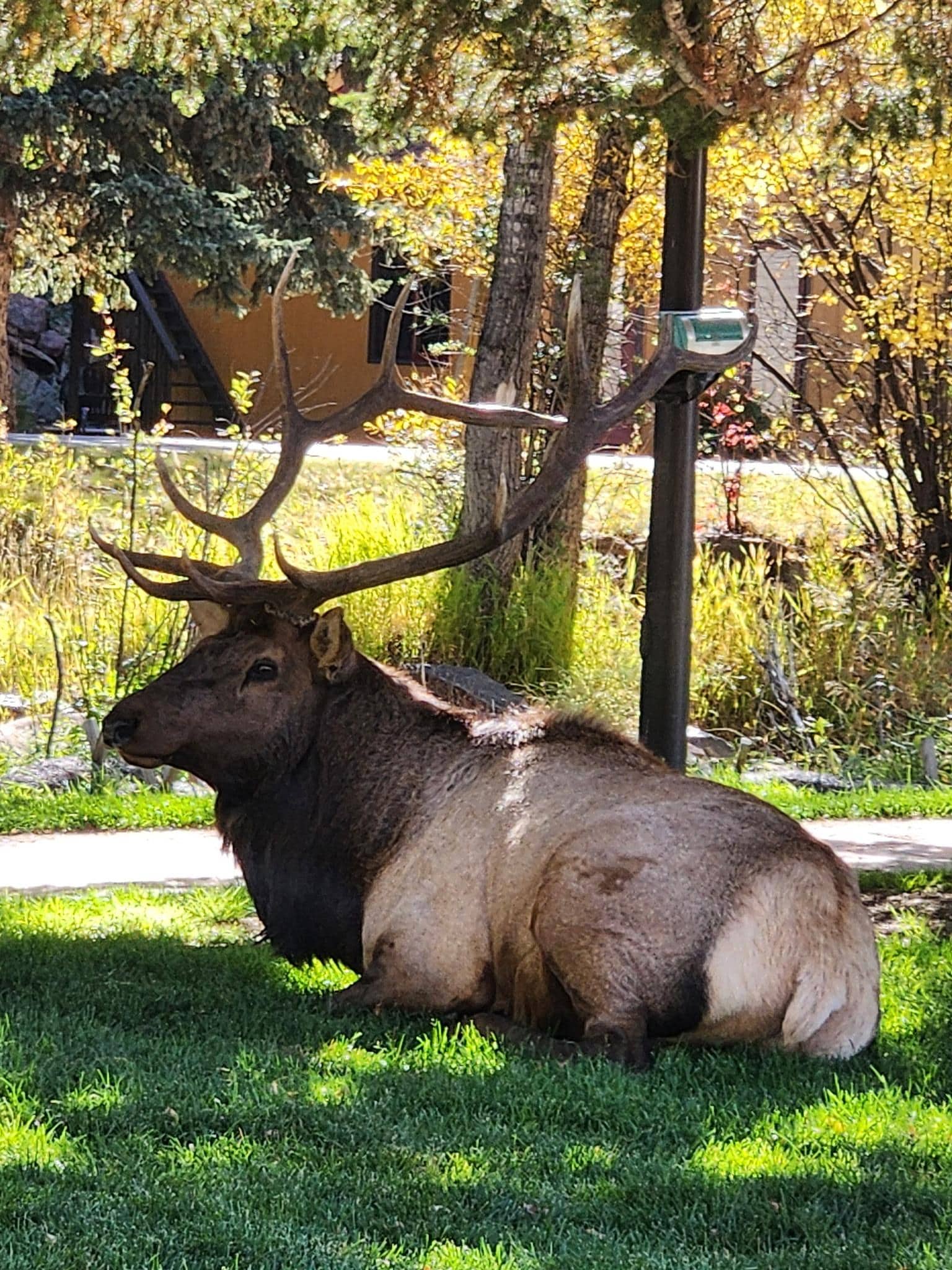 Downtown 5 minutes from the cabin