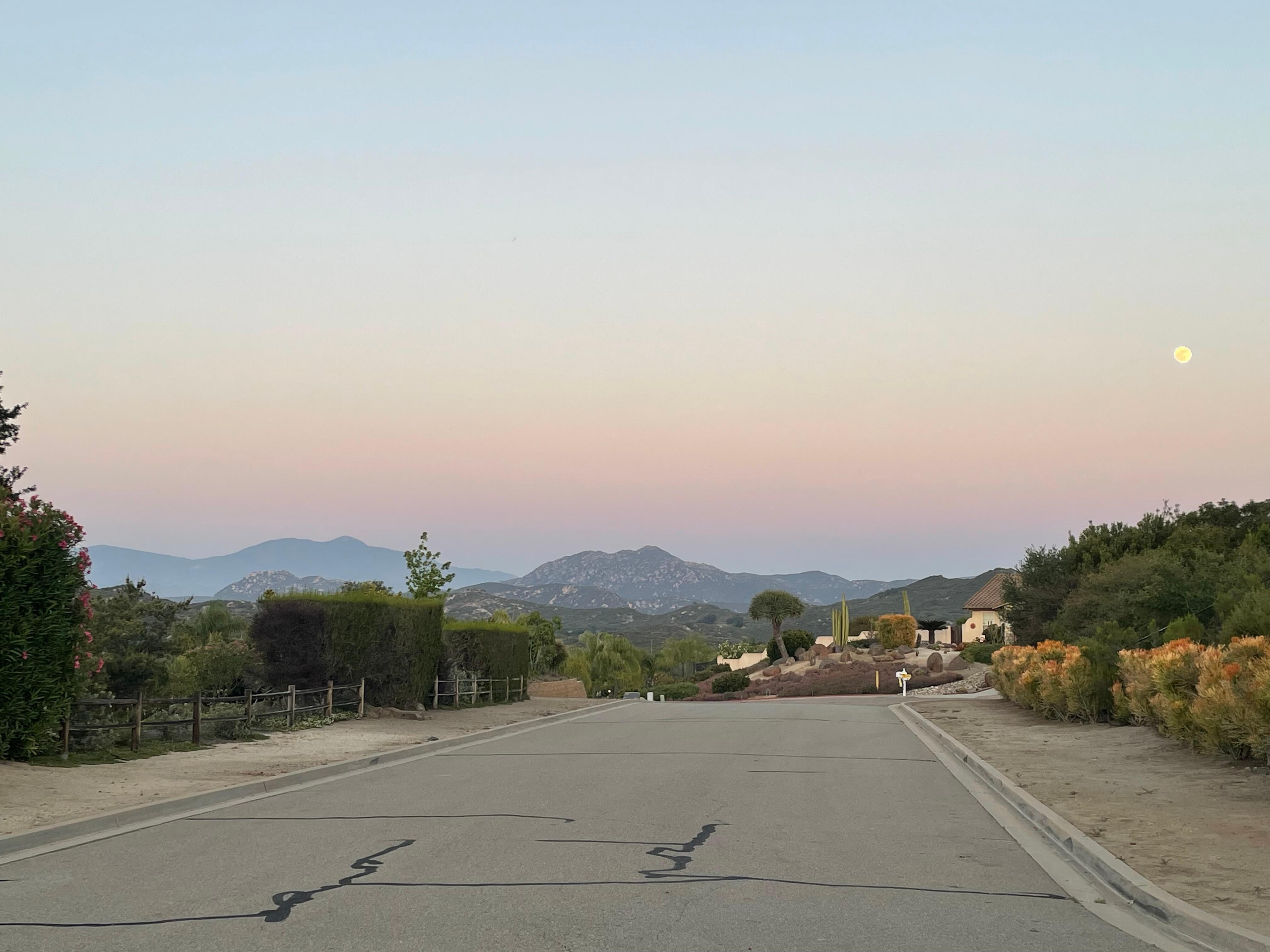 The view from the cul-de-sac 
