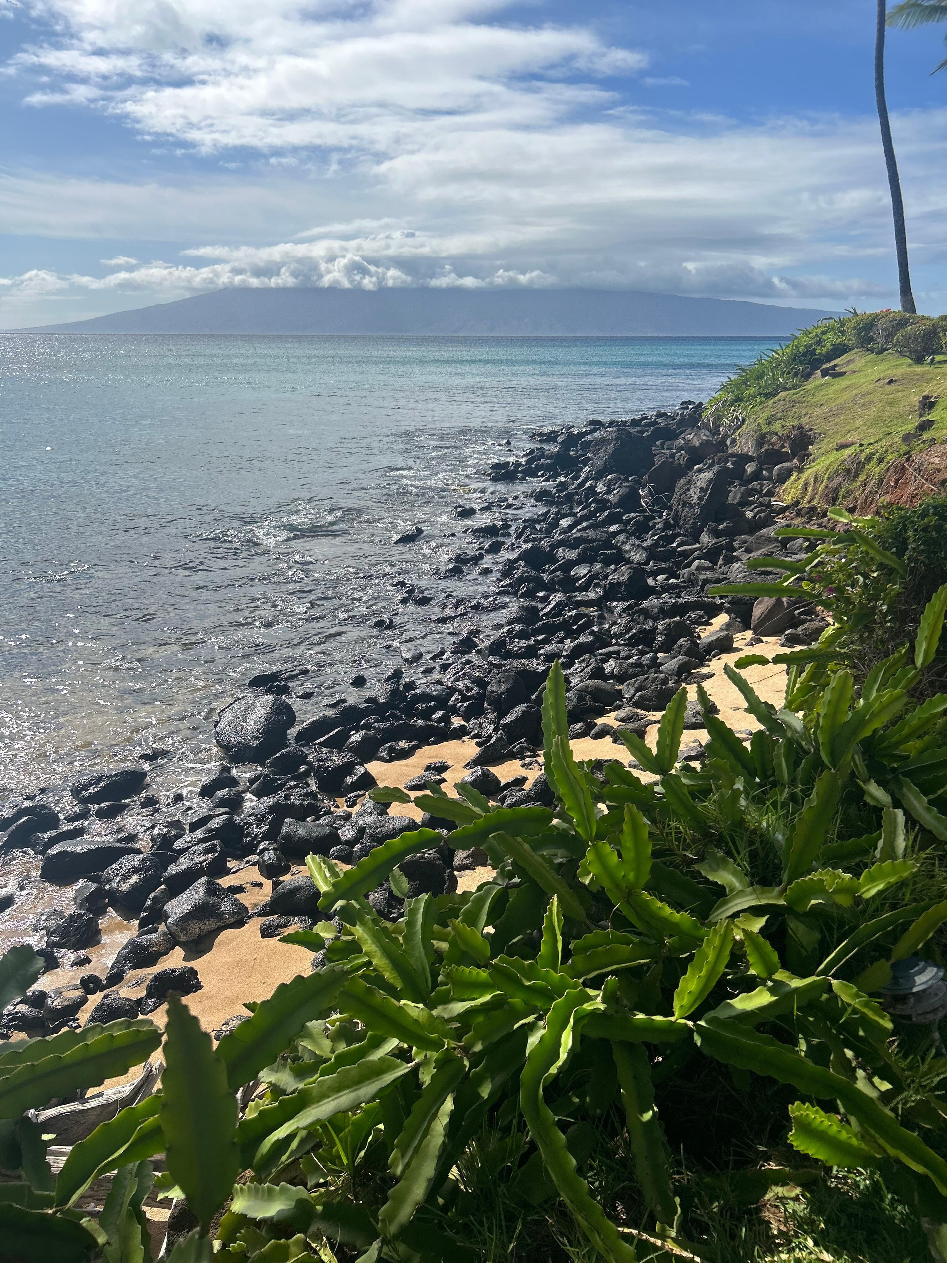 View off of patio