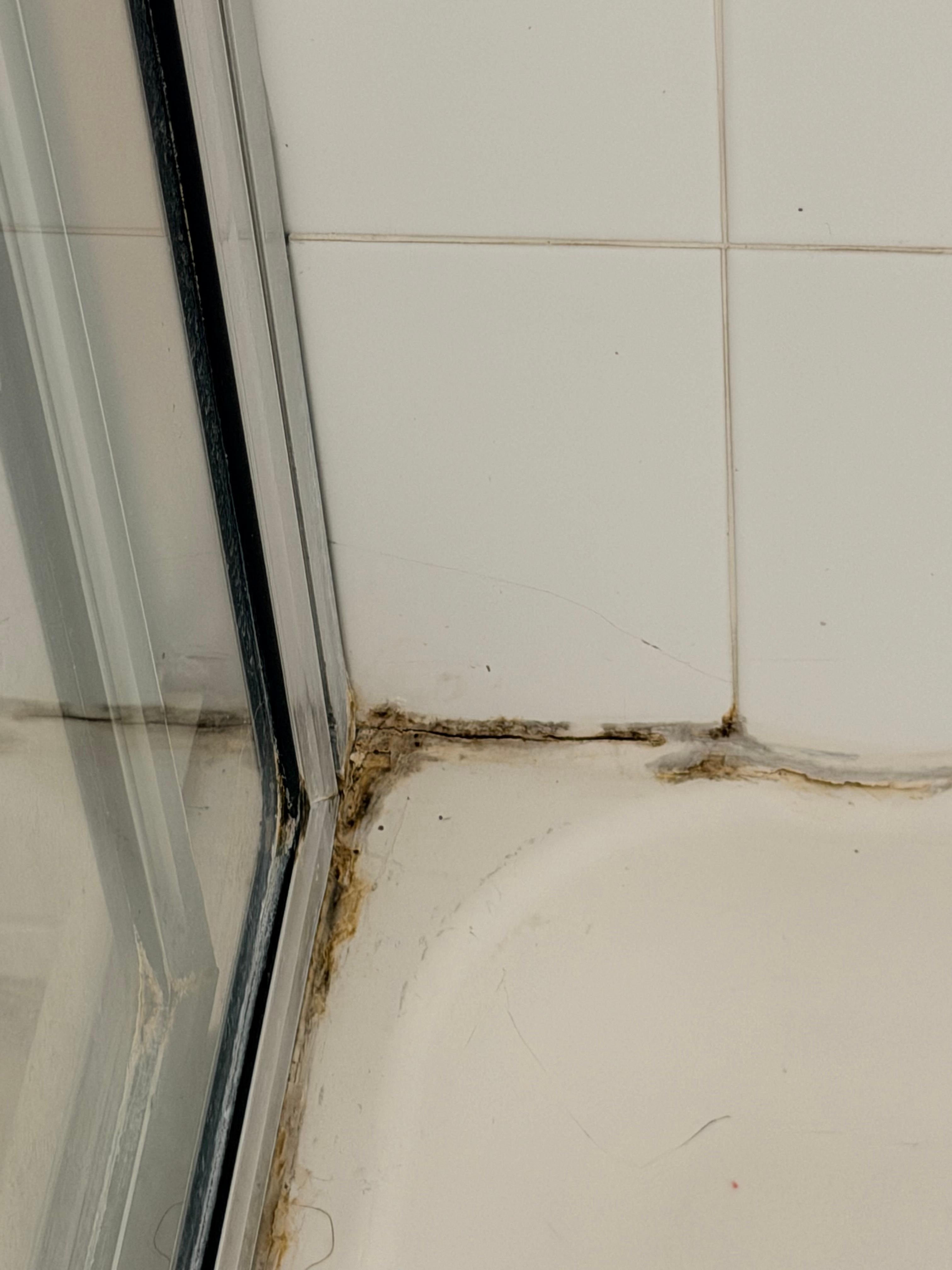 Master bathroom shower 