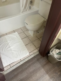 Bathroom Floor