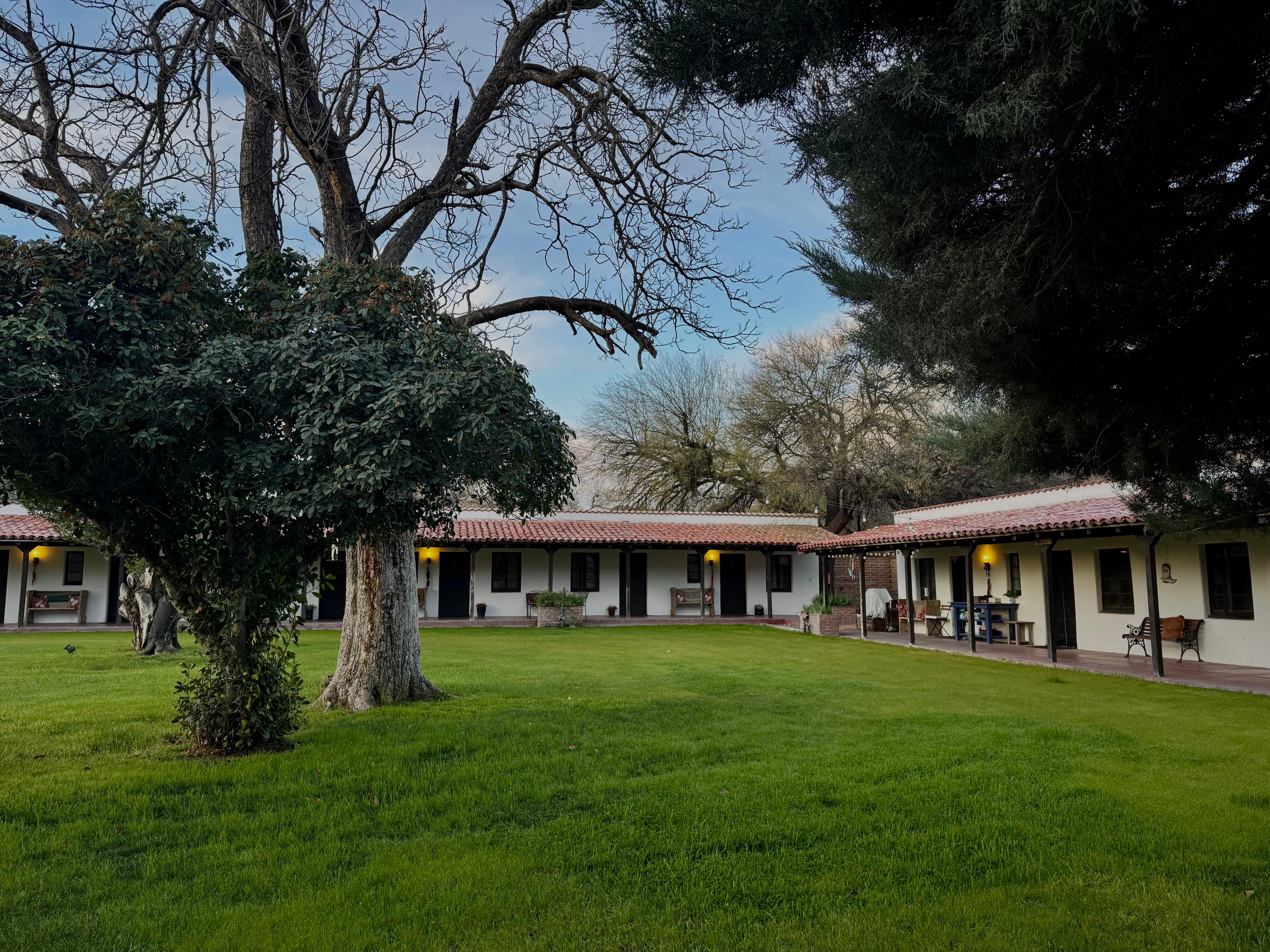 Large lawns on the property with old growth trees attract many birds.  