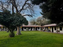 Large lawns on the property with old growth trees attract many birds.