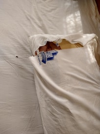 Torn pillow case, holes in sheet