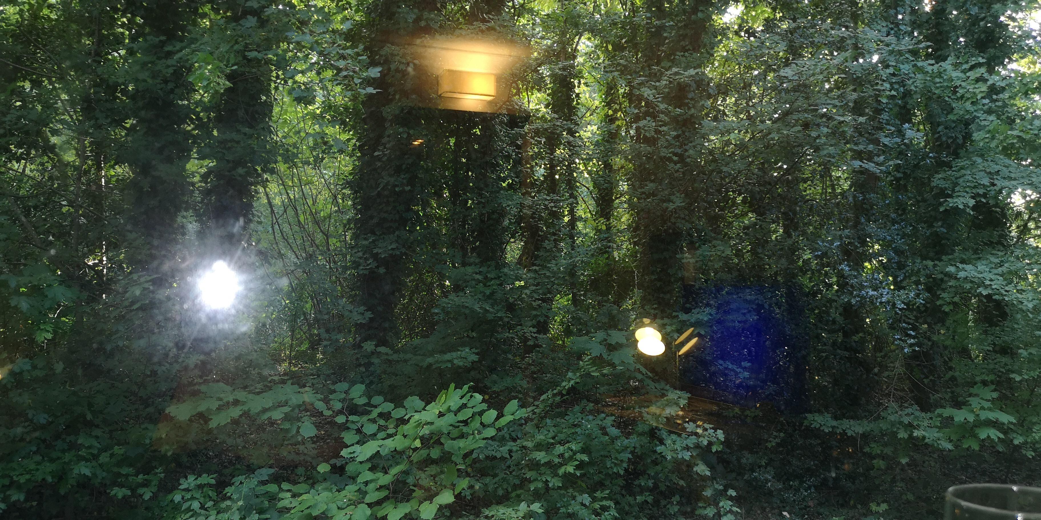 View from ground floor room! 