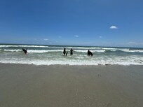 Walking distance to the beach