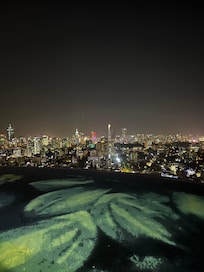 Kvällsvyn från takpoolen