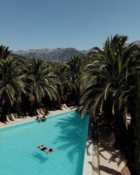 Their beautiful pool with chairs, cabana's and massive palm trees!