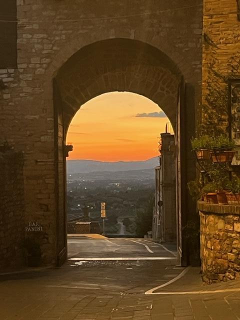 the gate next to the hotel