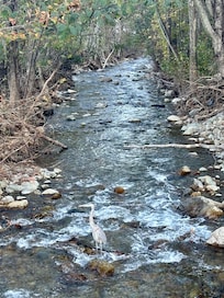 Creek at the entrance of the lodge