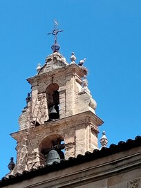 Una cicogna sul campanile