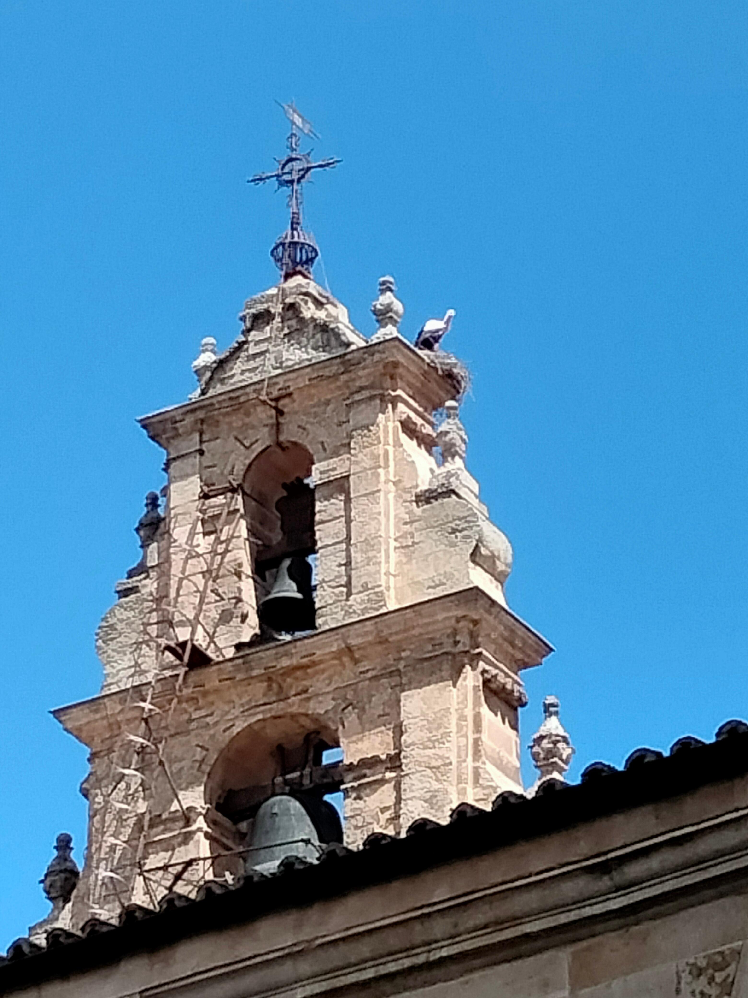 Una cicogna sul campanile 