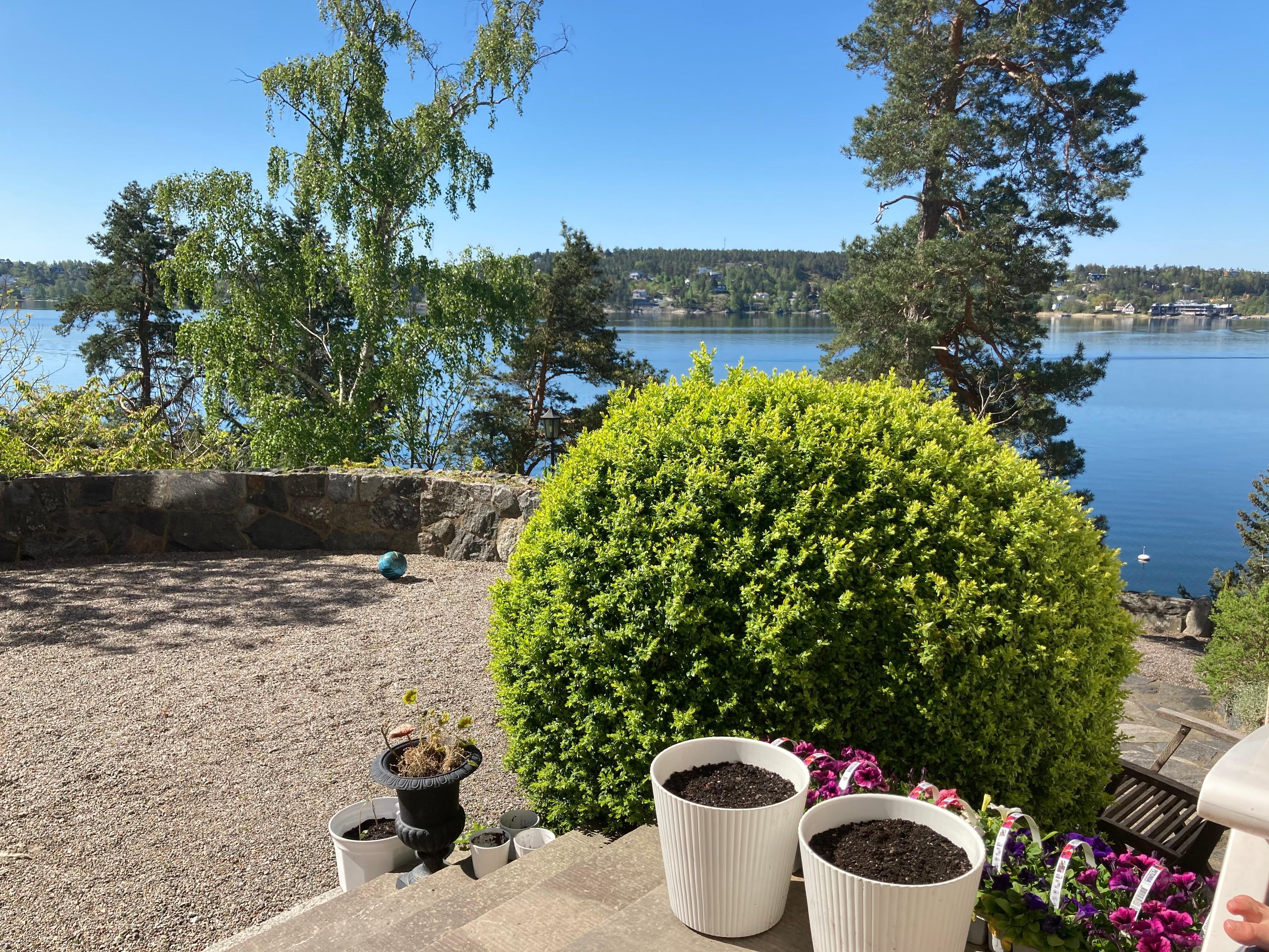 Breakfast intake with the view included!