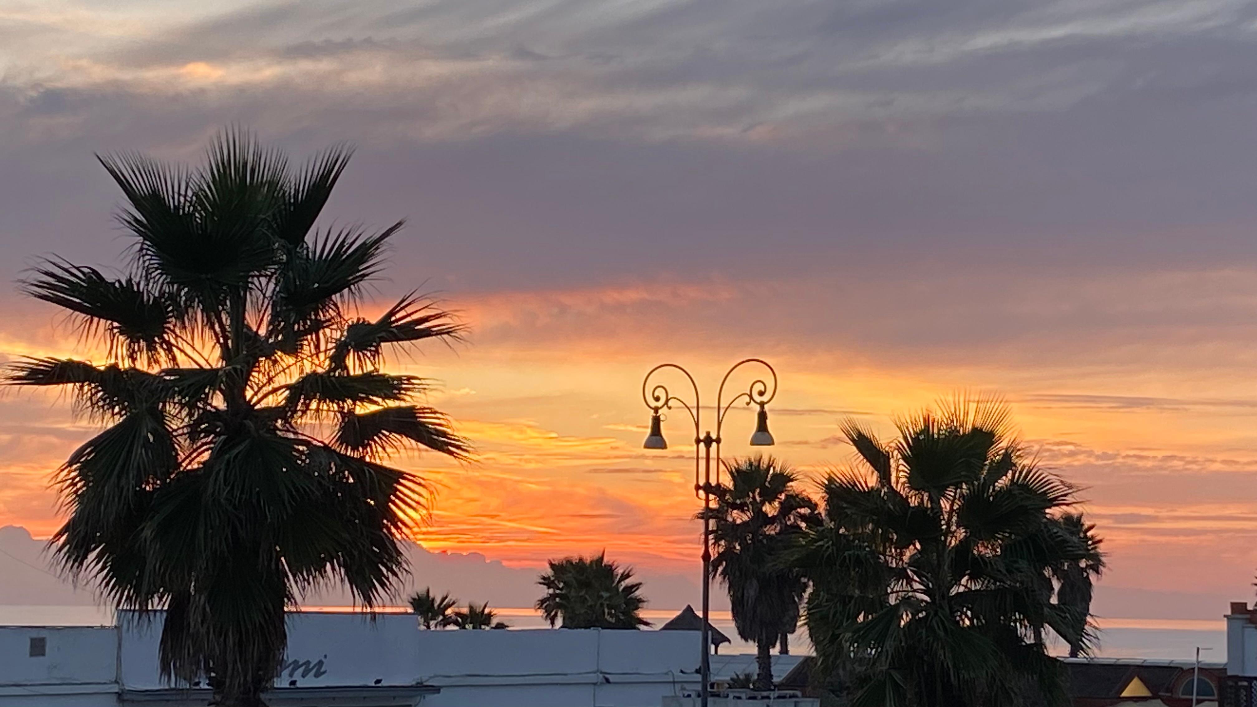 Evening from my balcony 