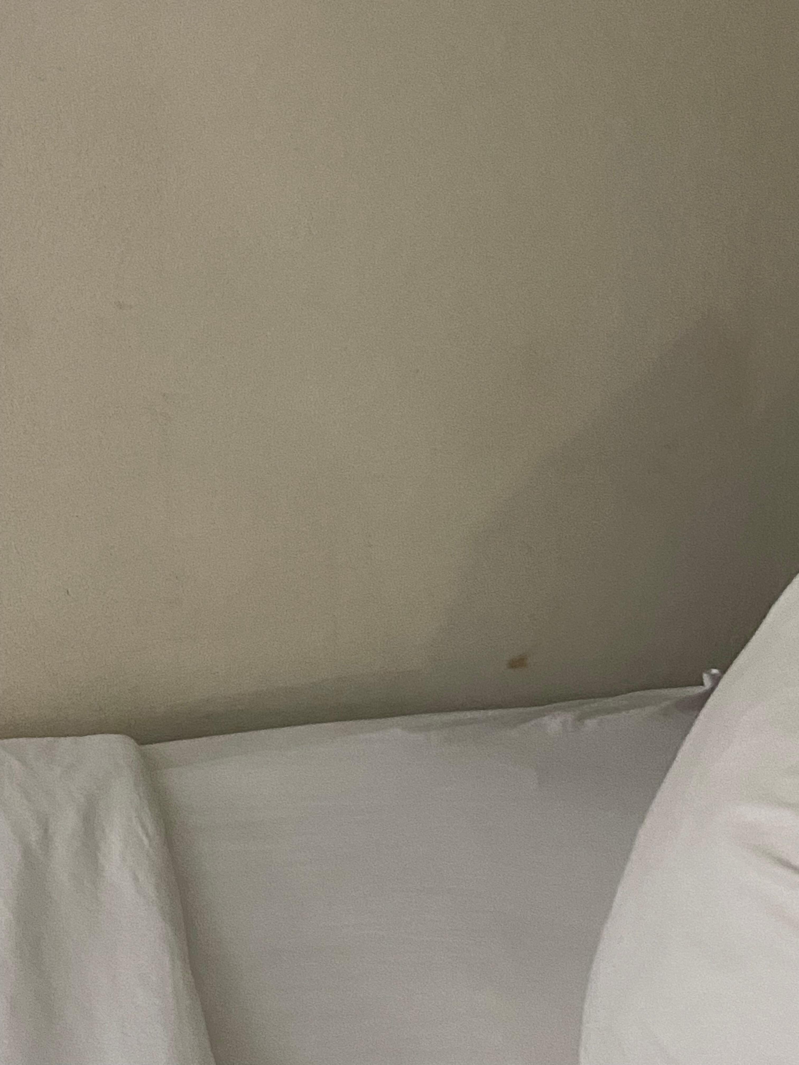 Visible dirt on the wall