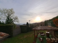 Vista