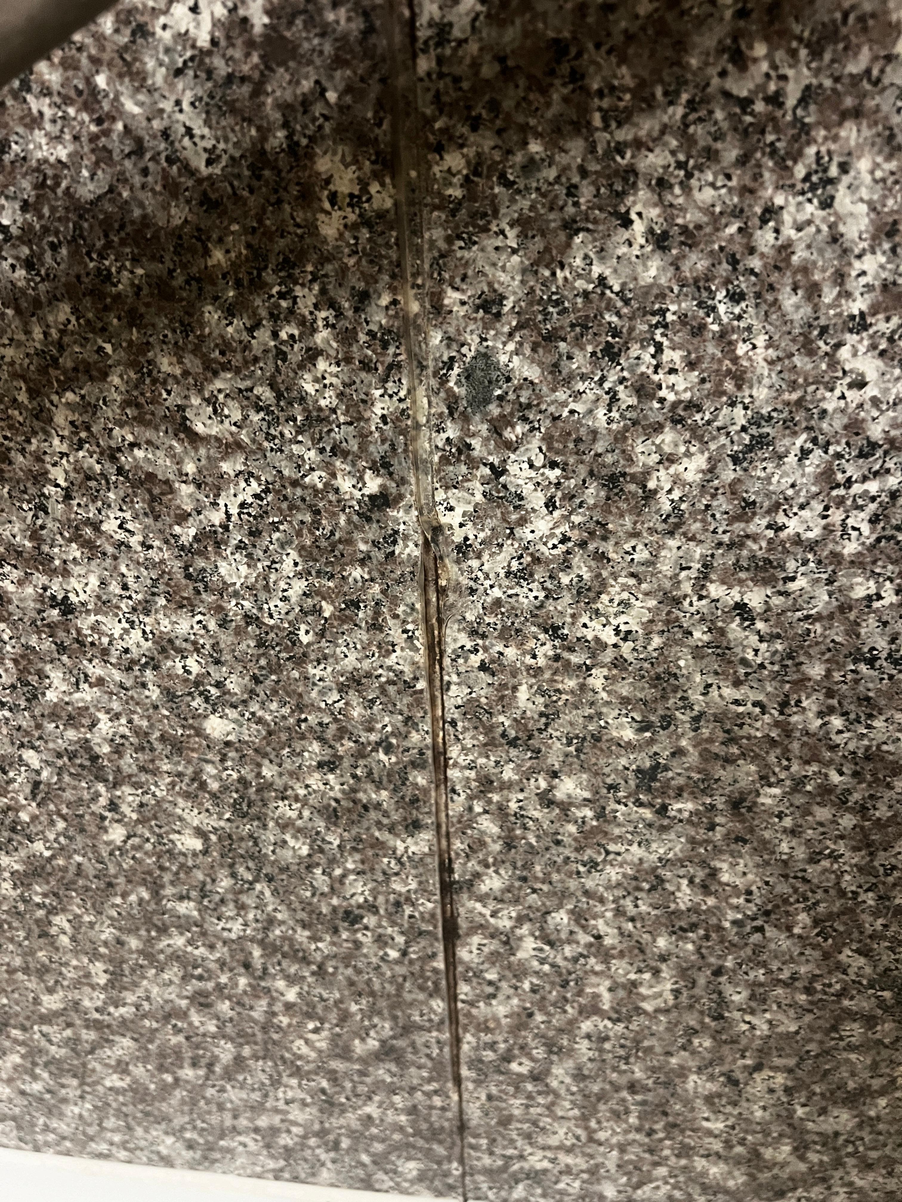 Dirt between the shower tiles