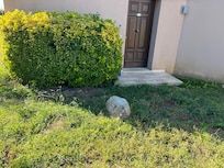 Entrance to 4* property?